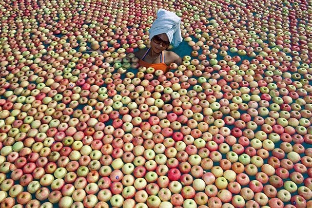 apples_small.jpg